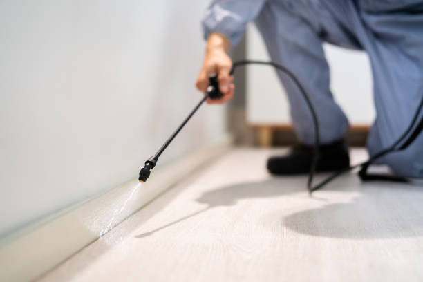 Licensed Pest Control service in New Iberia, LA - Show Me Pest Control