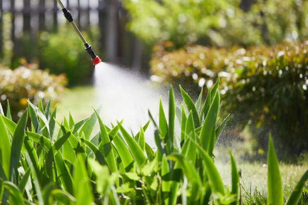24/7 Emergency Mosquito Control experts in New Iberia, LA
