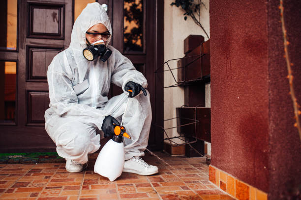 Reliable Mosquito Control contractor in New Iberia, LA by Show Me Pest Control